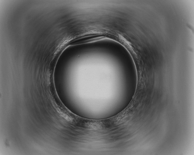 X0000097290106200802151425