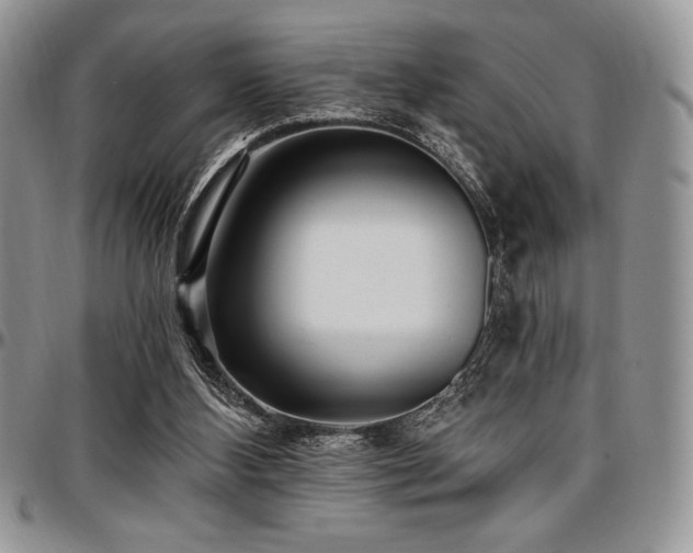 X0000097290108200802151425