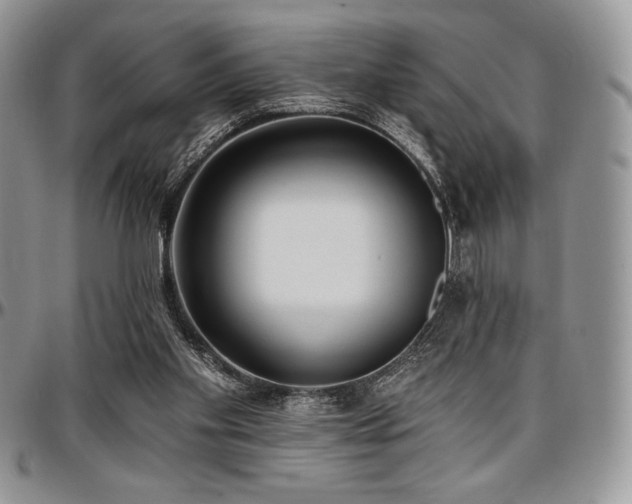 X0000097290109200802151425