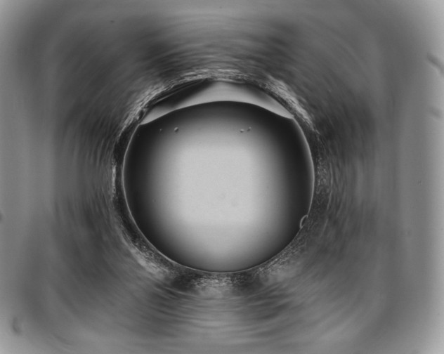 X0000097290110200802151424