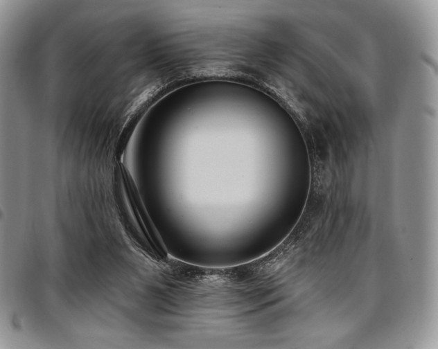 X0000097290111200802151424