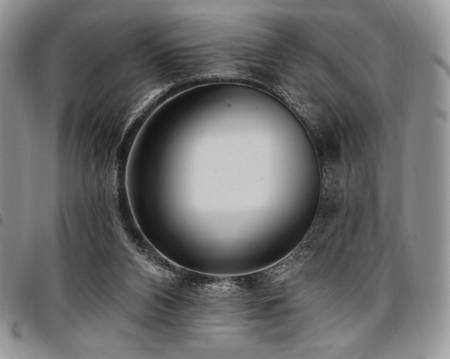 X0000097290112200802151424