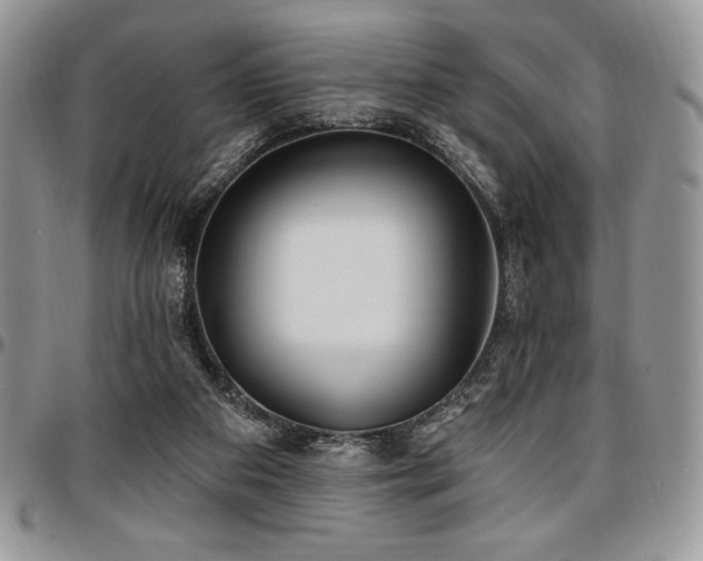 X0000097290113200802151424