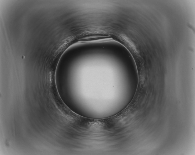 X0000097290115200802151424