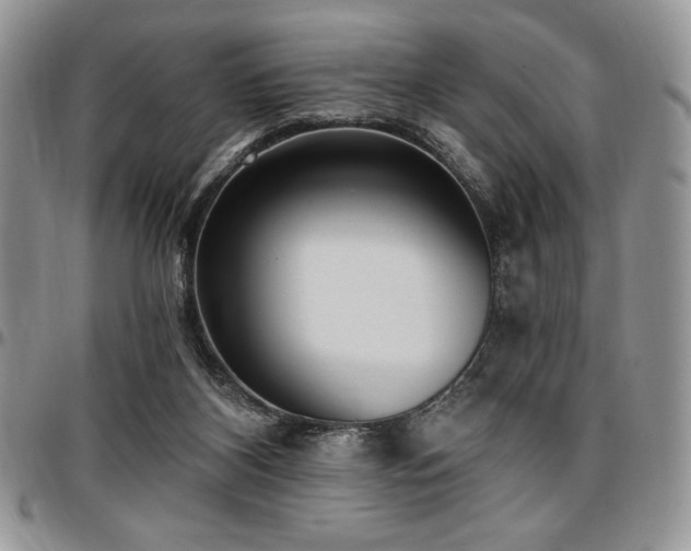 X0000097290116200802151424