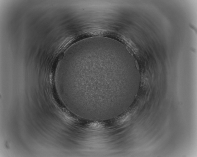 X0000097290117200802151424