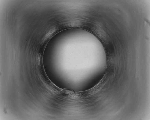 X0000097290120200802151424