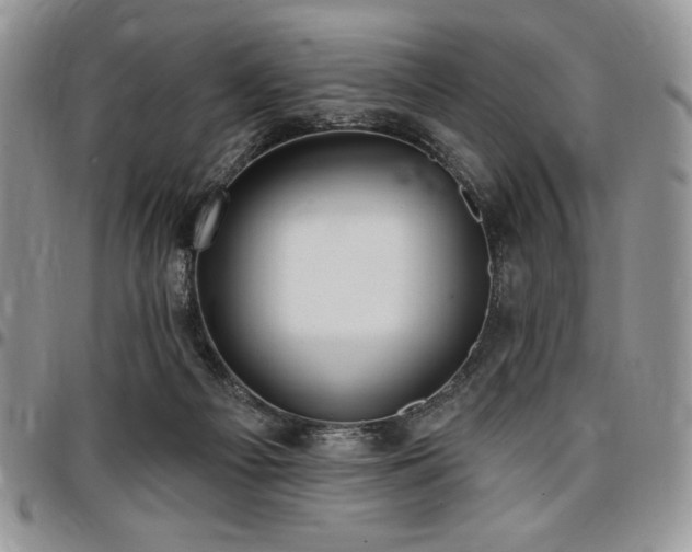X0000097290121200802151424