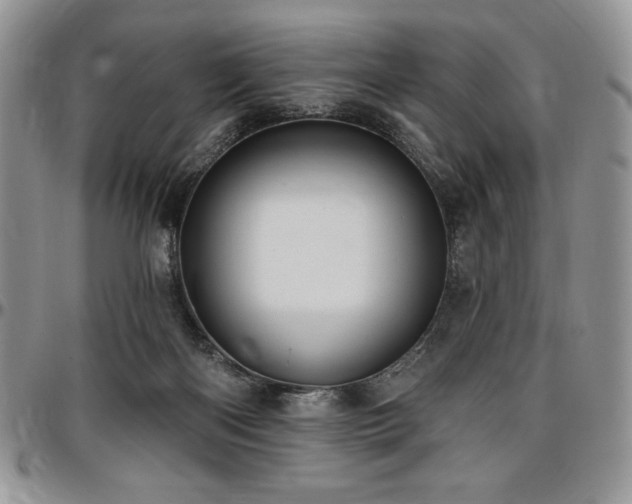 X0000097290122200802151424
