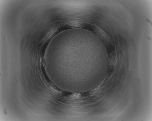 X0000097290124200802151424