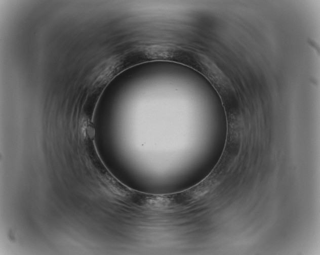 X0000097290125200802151424
