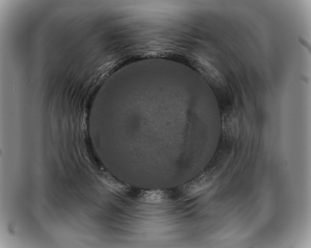 X0000097290127200802151424