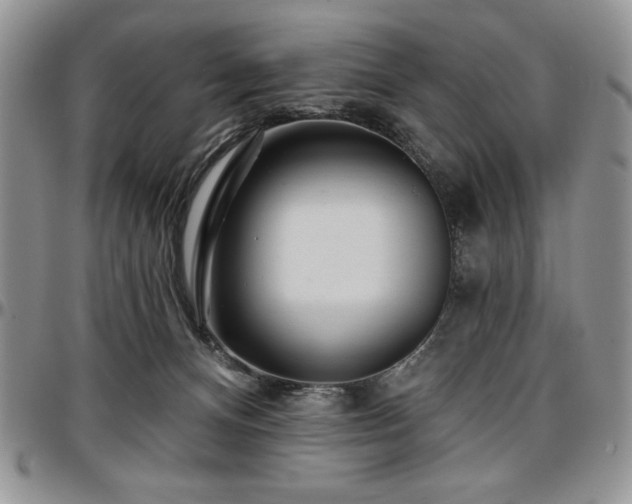 X0000097290128200802151424