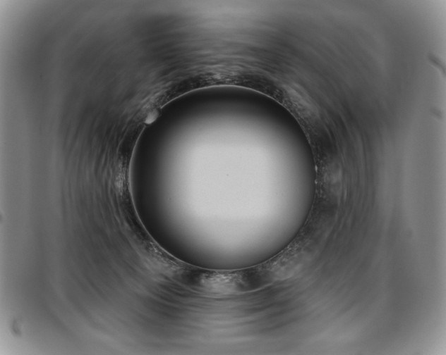 X0000097290129200802151424