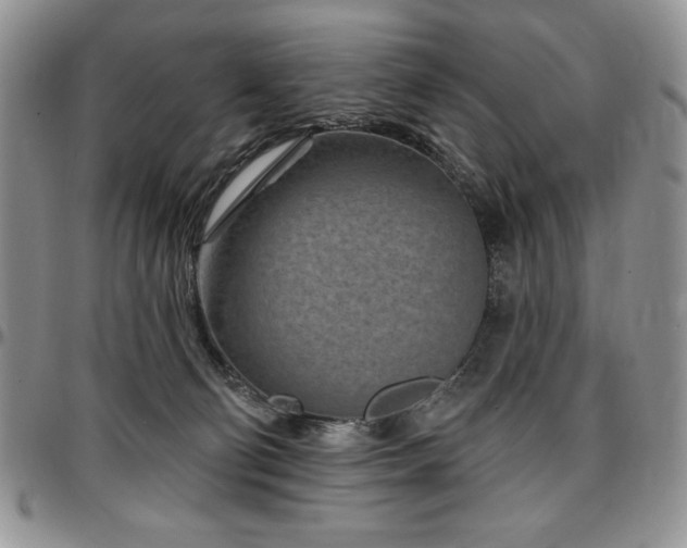 X0000097290130200802151424