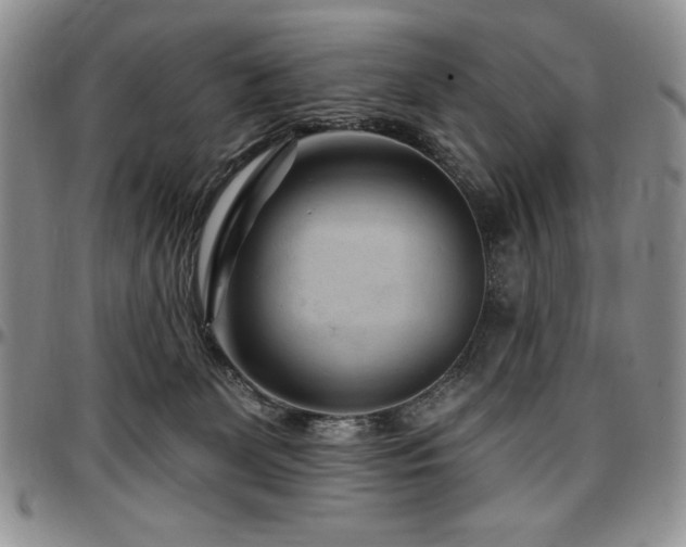 X0000097290131200802151424