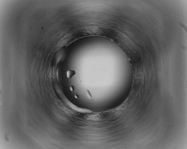 X0000097290132200802151424
