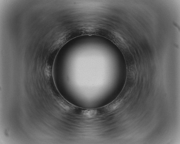 X0000097290135200802151424