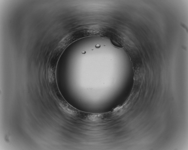 X0000097290136200802151424