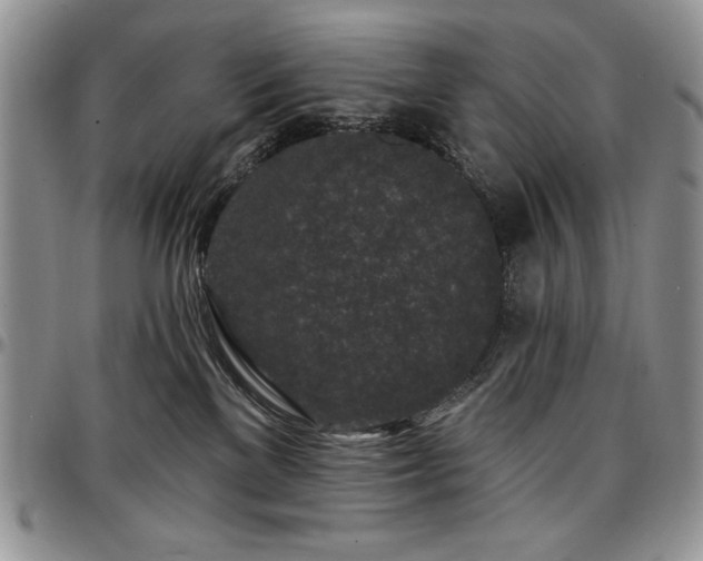 X0000097290137200802151424
