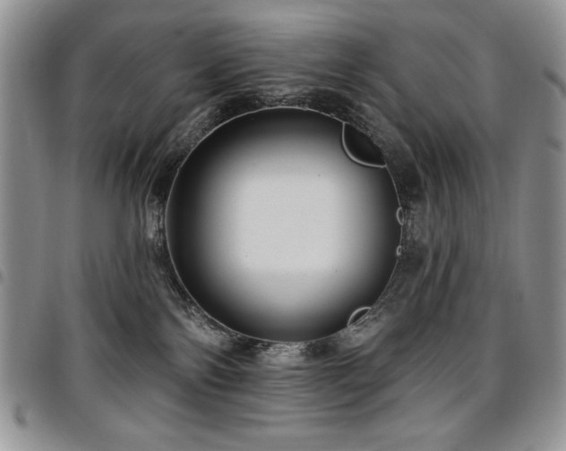 X0000097290138200802151424