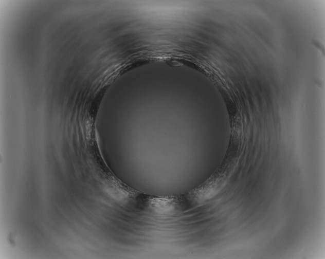 X0000097290139200802151424