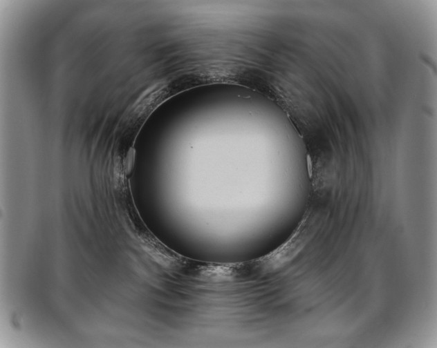 X0000097290140200802151424