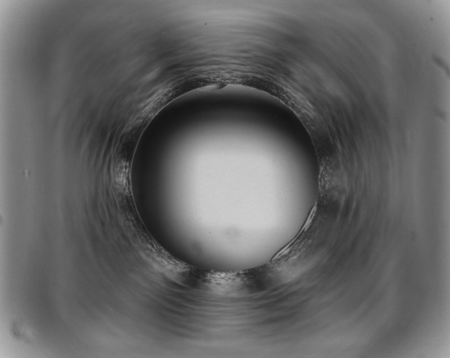 X0000097290141200802151424