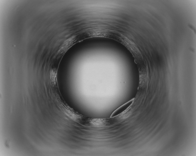 X0000097290142200802151424