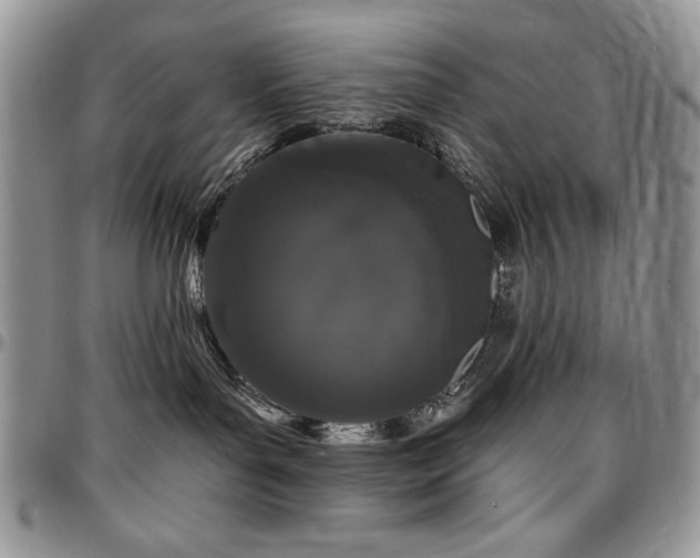 X0000097290143200802151424