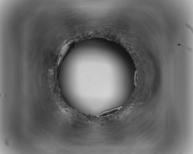 X0000097290144200802151424