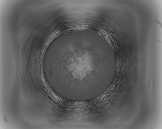 X0000097290145200802151423
