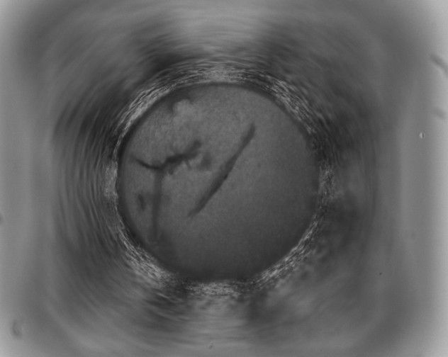 X0000097290146200802151423