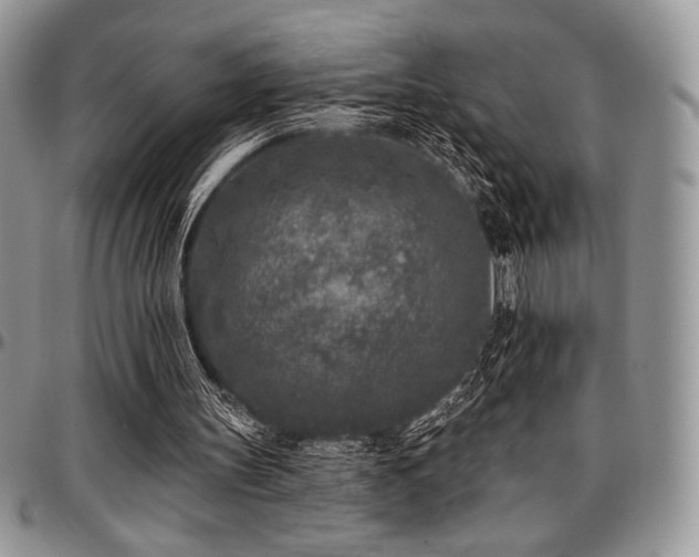 X0000097290147200802151423