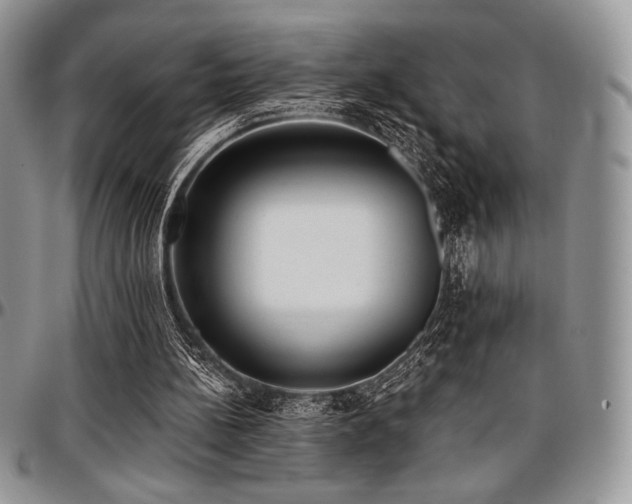 X0000097290148200802151423