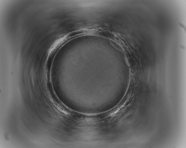 X0000097290149200802151423