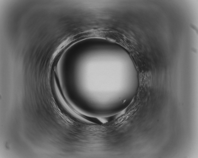 X0000097290150200802151423