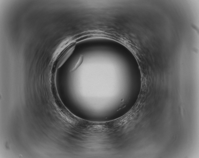 X0000097290151200802151423