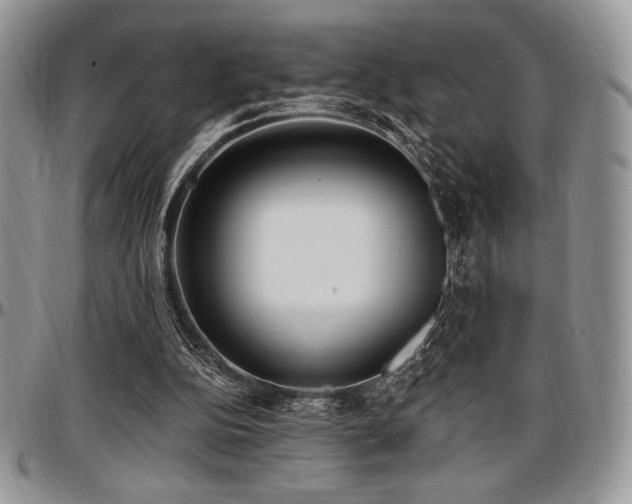 X0000097290152200802151423