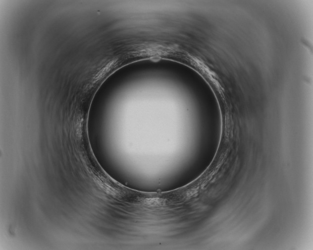 X0000097290153200802151423