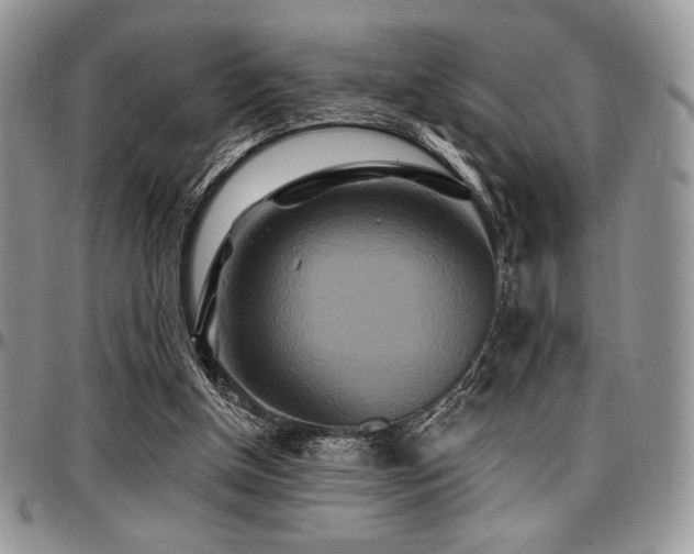 X0000097290154200802151423