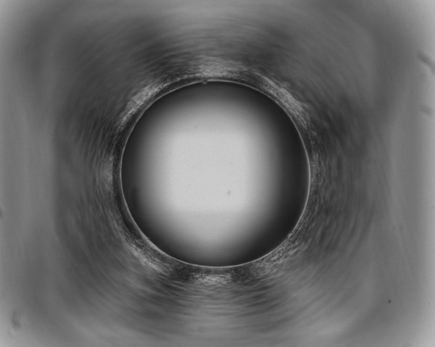 X0000097290155200802151423