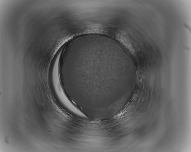 X0000097290156200802151423