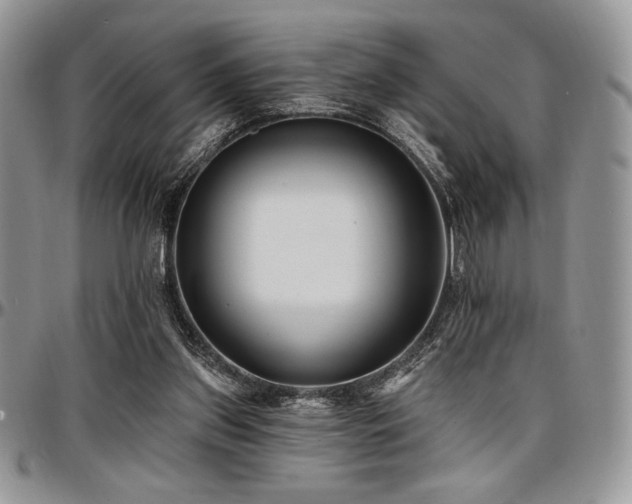X0000097290157200802151423
