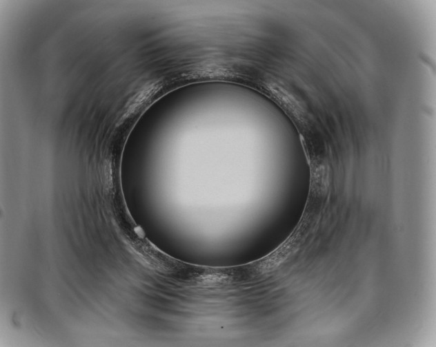 X0000097290158200802151423