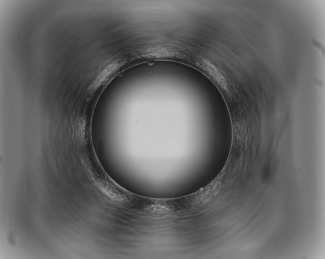 X0000097290159200802151423