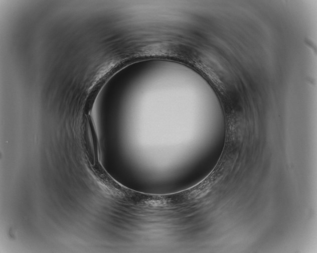 X0000097290160200802151423