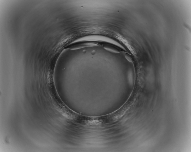 X0000097290161200802151423