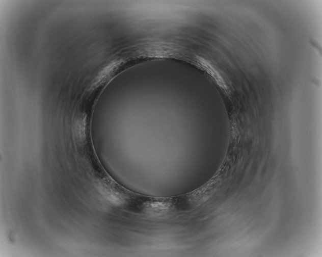 X0000097290163200802151423