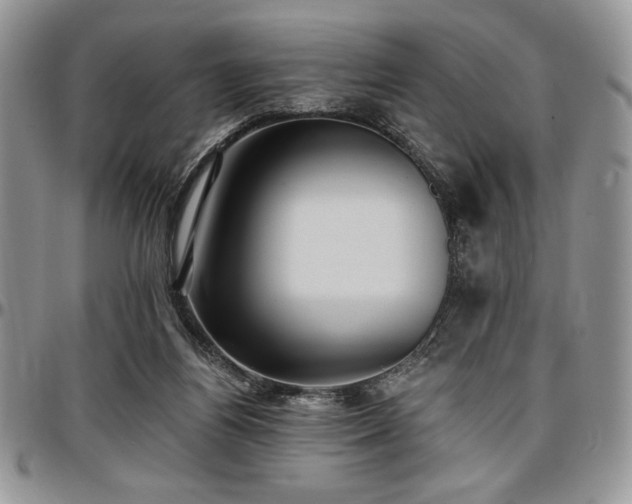 X0000097290164200802151423